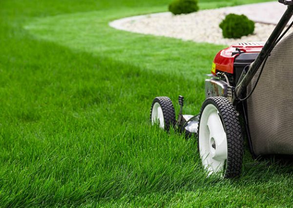 Photograph of lawn mower on the green grass. Mower is located on the right side of the photograph with view on grass field.